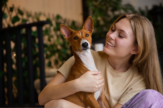 Зачем собакам усы и можно ли их стричь Зачем собакам усы и можно ли их стричь