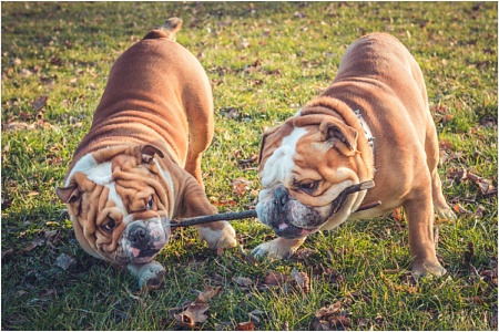 Лишний вес мешает правильному дыханию 