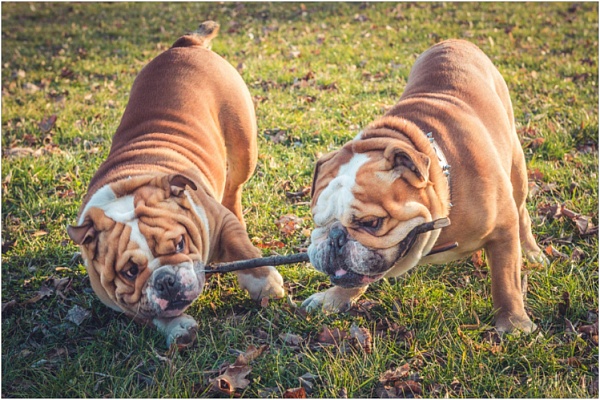 Лишний вес мешает правильному дыханию 