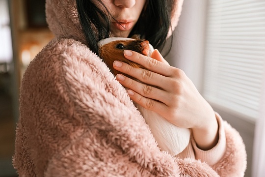 «Поздравляем, мамочка, у вас шестеро!»: как грызунам даются такие роды «Поздравляем, мамочка, у вас шестеро!»: как грызунам даются такие роды