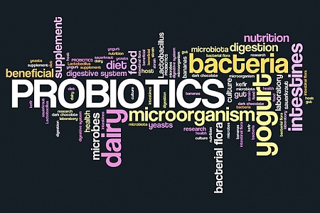 Пребиотики и пробиотики: в чем разница?