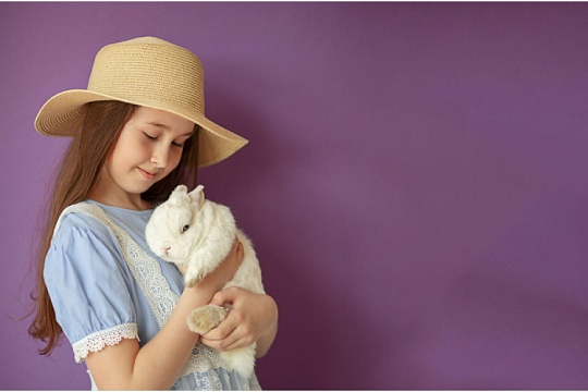 Как правильно держать кролика на руках Как правильно держать кролика на руках