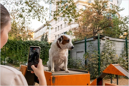 Питомцы в городе: москвичей приглашают показать любимцев на фотоконкурсе «Район глазами жителя»