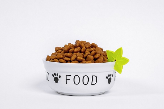 Качество белка в корме: почему это важно Качество белка в корме: почему это важно