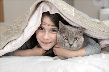 Топ-15 самых добрых пород кошек