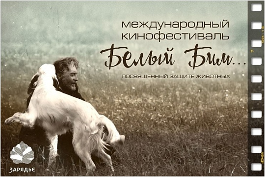 Белый Бим зовет в кино 