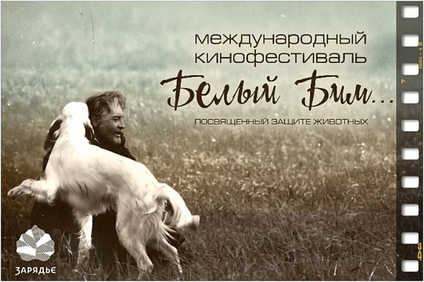 Белый Бим зовет в кино 