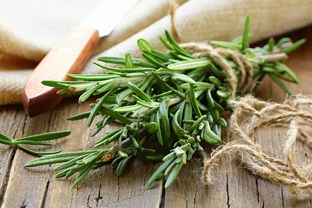 Экстракт розмарина в кормах для животных