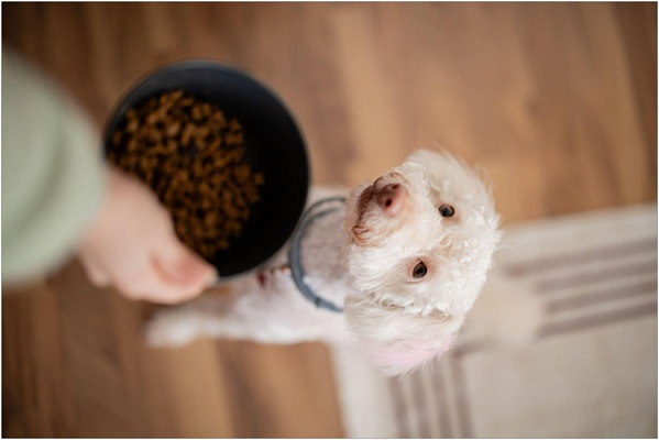 Элиминационная диета