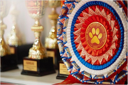 В Москве состоится главная выставка собак и кошек России 