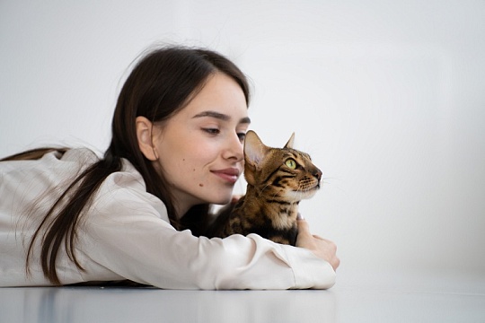 Приручить кошку людям посчастливилось далеко не 10 000 лет назад!