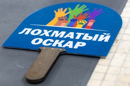 Объявлен второй тур «Народного голосования» в рамках премии «Мой ласковый и нужный зверь»