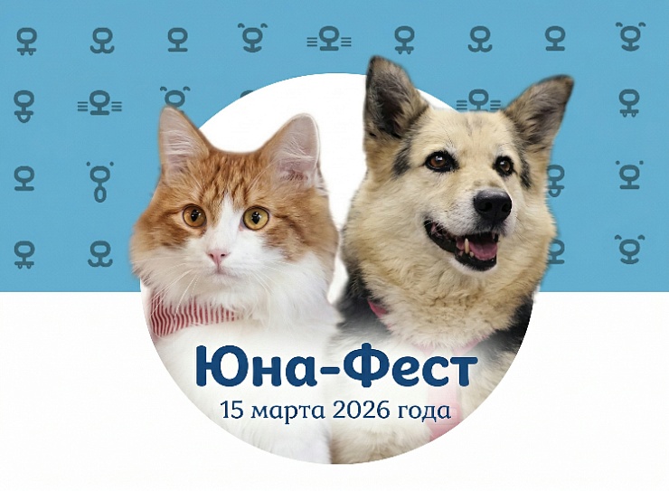 «Юна-Фест»