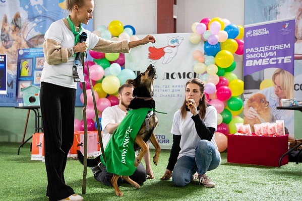 «Путь домой»: приглашаем на pet-friendly фестиваль тепла, добра и обнимашек
