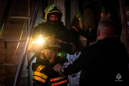 Спасатели на Алтае вызволили из огня более 700 питомцев при пожаре в приюте