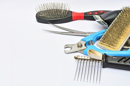 Груминг животных