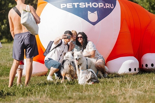 Petshop Days: Голливуд для питомцев, кинофестиваль, сапы, дайвинг и много веселья Petshop Days: Голливуд для питомцев, кинофестиваль, сапы, дайвинг и много веселья
