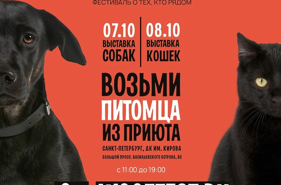 Фестиваль "WOOF" Фестиваль "WOOF"