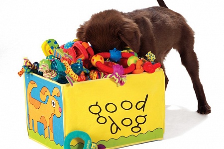 Какие игрушки нужны собаке