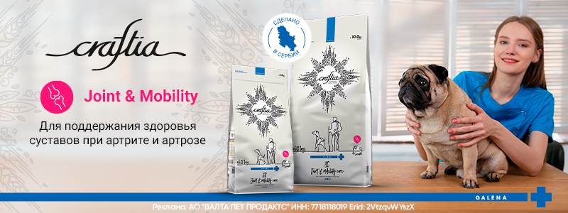 Перейти на официальный сайт корма