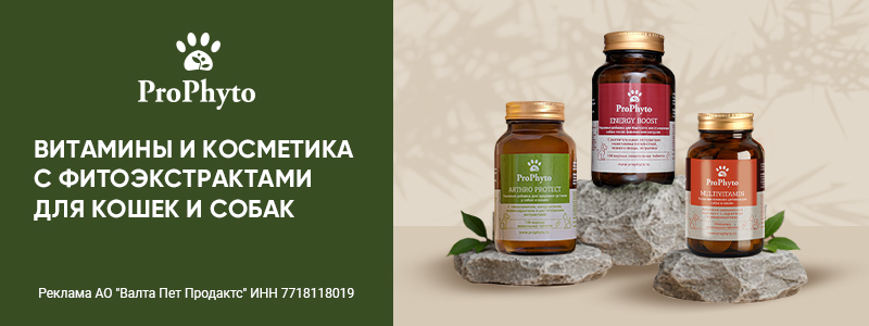 Перейти на brands4pets.ru