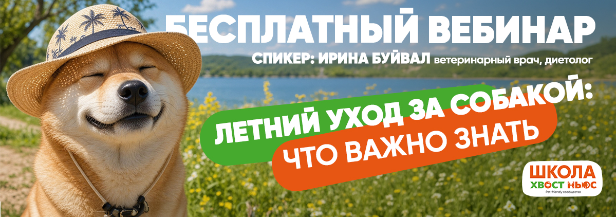 Узнать подробнее