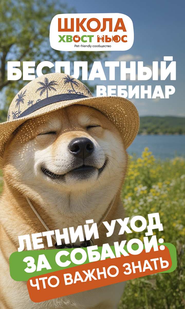 Узнать подробнее