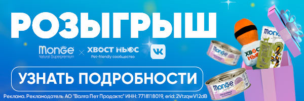 Перейти на страницу розыгрыша Перейти на страницу розыгрыша