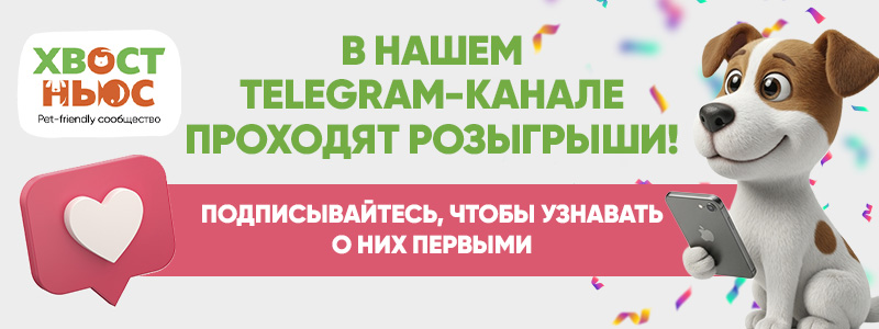 Перейти в телеграм канал 