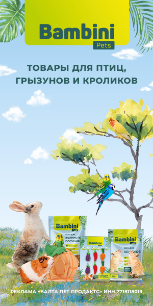 Перейти на сайт brands4pets