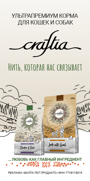 Перейти на сайт brands4pets