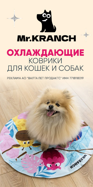 Перейти в телеграм
