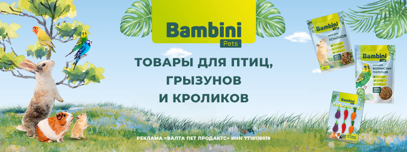 Перейти на сайт brands4pets
