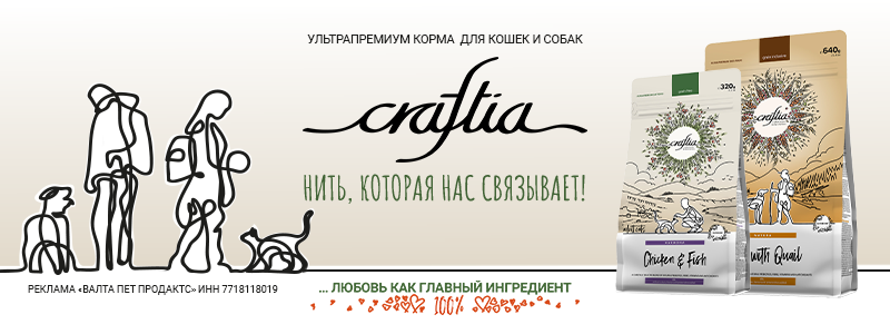 Перейти на сайт brands4pets