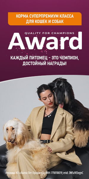 Перейти на brands4pets