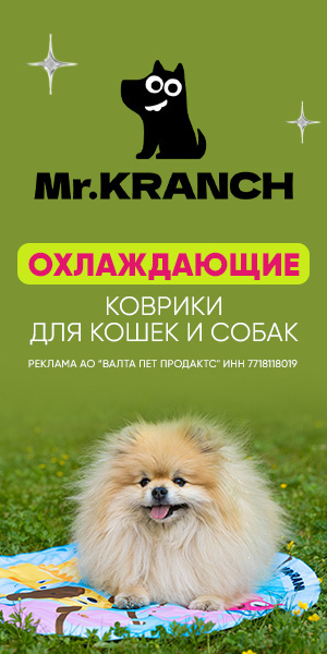 Перейти в телеграм