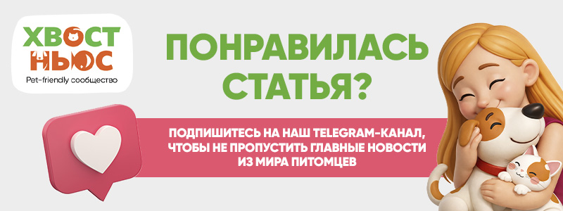 Перейти в телеграм канал 