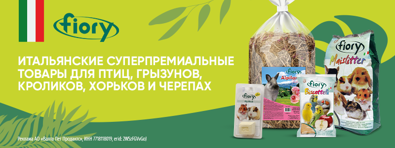 Перейти на brands4pets